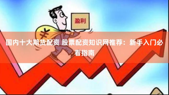 国内十大期货配资 股票配资知识网推荐:新手入门必看指南