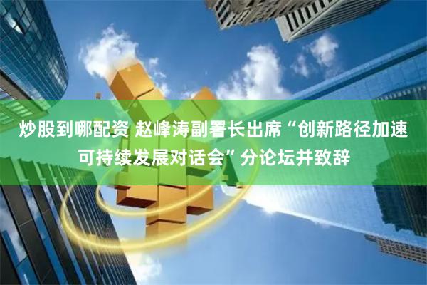 炒股到哪配资 赵峰涛副署长出席“创新路径加速可持续发展对话会”分论坛并致辞