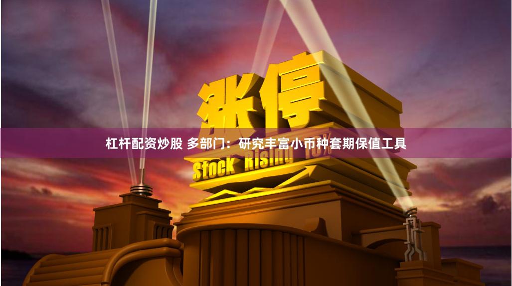 杠杆配资炒股 多部门：研究丰富小币种套期保值工具