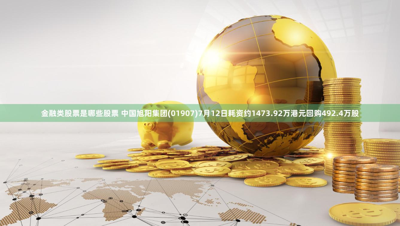 金融类股票是哪些股票 中国旭阳集团(01907)7月12日耗资约1473.92万港元回购492.4万股