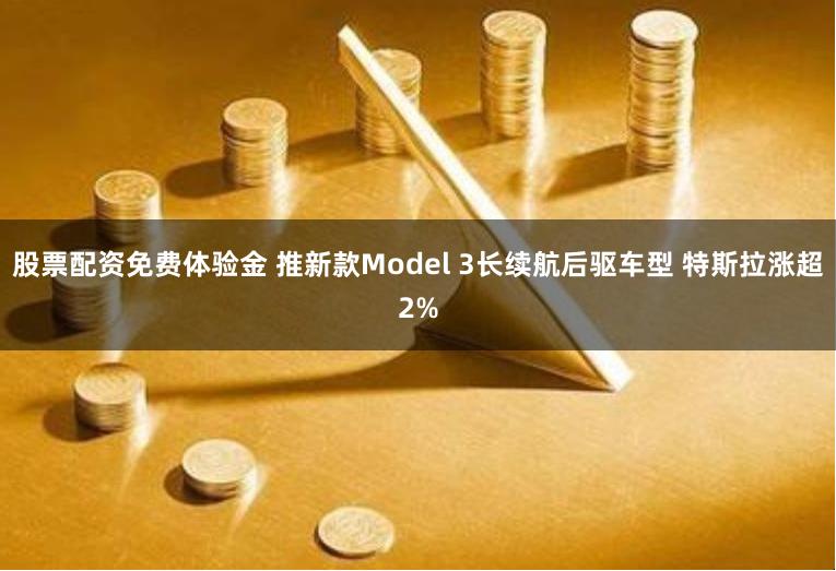 股票配资免费体验金 推新款Model 3长续航后驱车型 特斯拉涨超2%